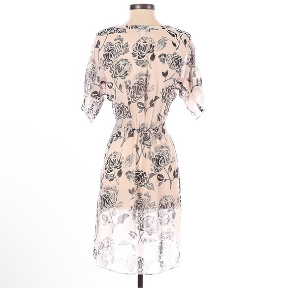 Banana Republic Sheer Dress | SIZE XS - Picture 2 of 3